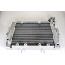 Hammerhead 250 Radiator Comp. Back