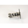 Hammerhead 150 Camshaft Comp. 16T Side 1